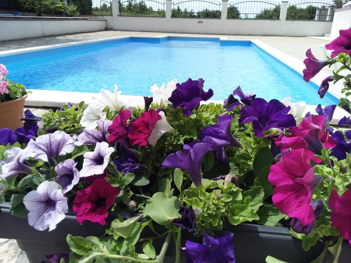 House Apartments Ariamare Пореч Екстериор снимка