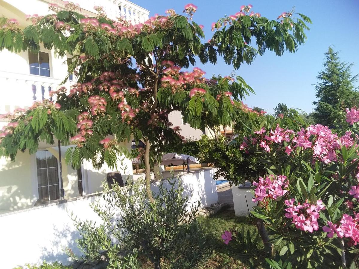 House Apartments Ariamare Пореч Екстериор снимка