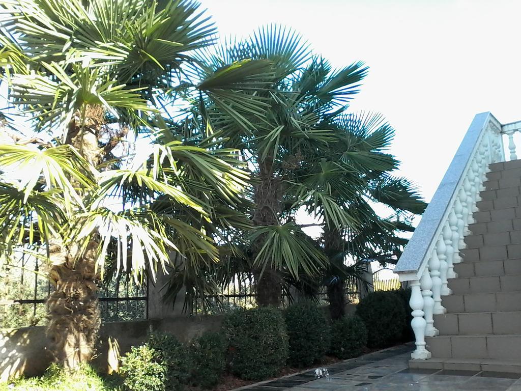House Apartments Ariamare Пореч Екстериор снимка